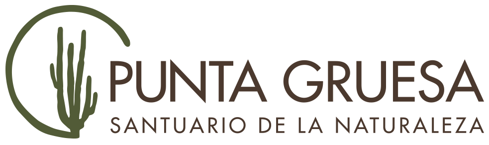 Punta Guesa