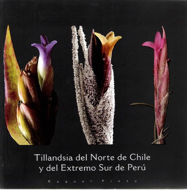 Tillandsia del norte de Chile y del extremo sur de Perú
(Pinto, 2005). Impreso en Chile, AMF, Santiago, 135 pp. 236 fotografías.